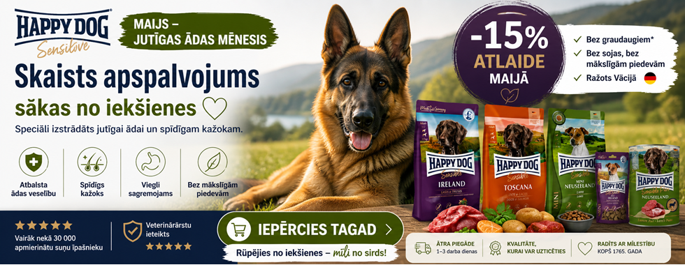 Happy Dog Sensible