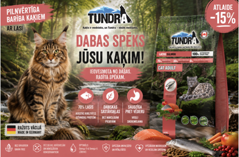 Tundra Cat