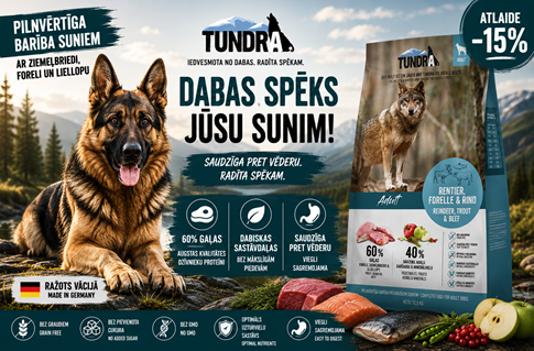 Tundra Dog