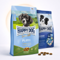 Happy Dog Young