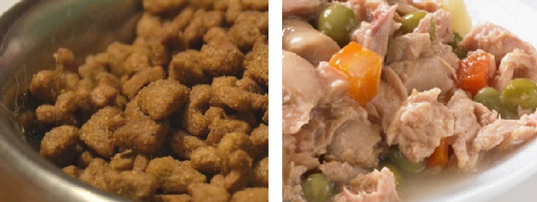 Pilnvērtīga dzīvnieku barība ilgai un veselīgai dzīvei!