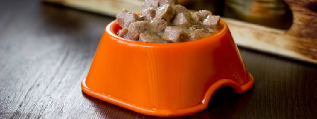 Konservi suņiem: kā tos ražo un kādi tie mēdz būt