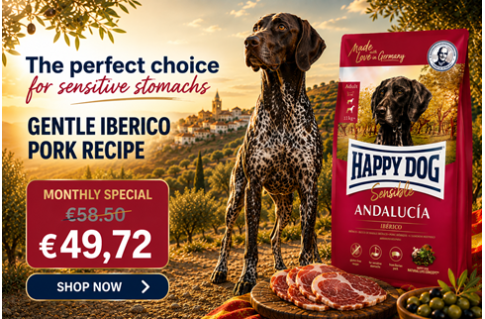 Happy Dog Sensible Andalucia