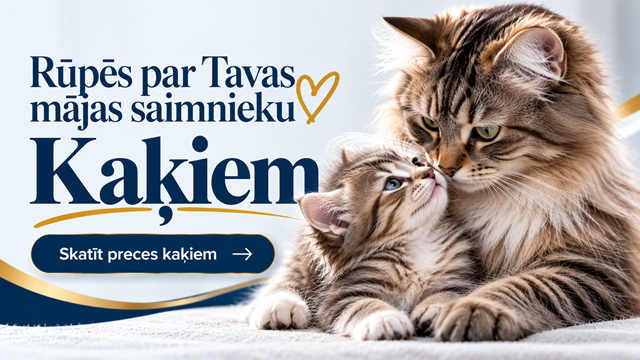 Kaķiem