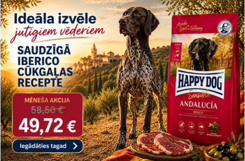 Happy Dog Sensible Andalucia