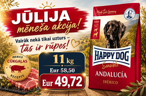 Happy Dog Sensible Andalucia