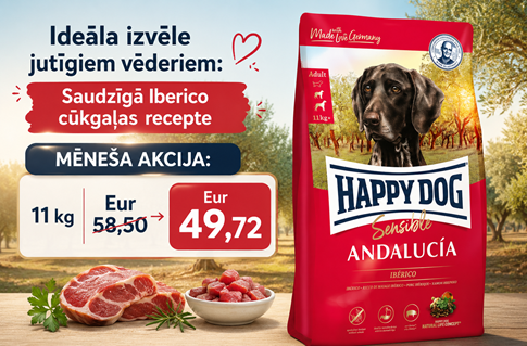 Happy Dog Sensible Andalucia