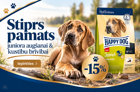 Happy Dog Junior Giant