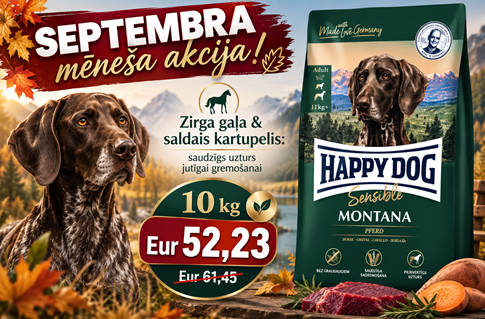 Happy Dog Sensible Montana