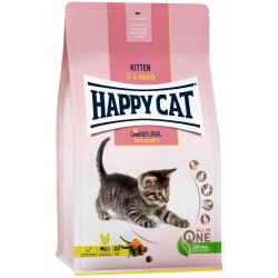 Happy Cat Young Kitten Land-Geflügel