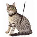 Leashes for cats