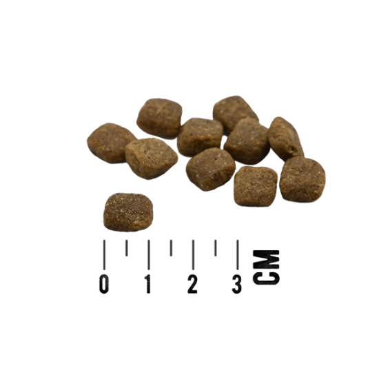 MAC's Dog Mono Soft - Frisches Lamm - pusmitrā barība suņiem ar jēru