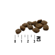 MAC's Dog Mono Soft - Frische Ente - pusmitrā barība suņiem ar pīli