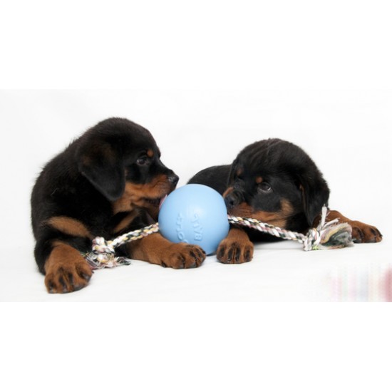 Dog Toy - Jolly Pets Romp-n-Roll (4,5")