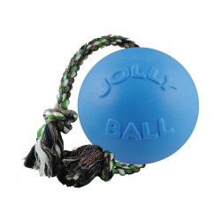 Dog toy - Jolly Pets Romp-n-Roll (L/8")