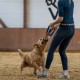 Toy for dogs - Sprenger pulling training accessory / Jutes