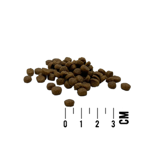 Tundra Cat Kitten Huhn & Lachs - sausā barība kaķēniem ar vistu & lasi