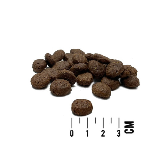 Tundra Dog Rentier, Forelle & Rind - sausā barība suņiem ar ziemeļbriedi, foreli & liellopu