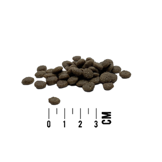 Tundra Dog Atlantik Lachs - sausā barība suņiem ar Atlantijas lasi