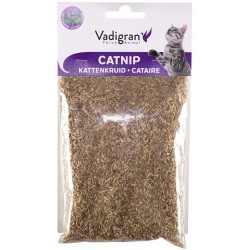 Catnip for cats Vadigran